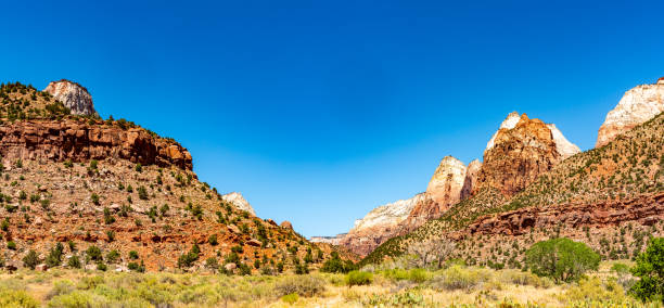 Zion National Park view, Utah, USA.