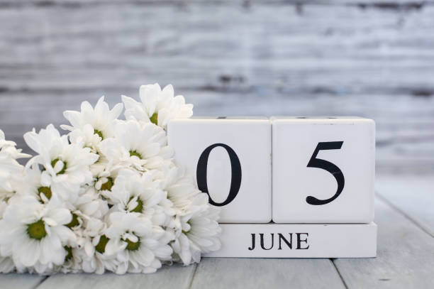 istock June 5th Calendar Blocks with White Daisies 2195135083