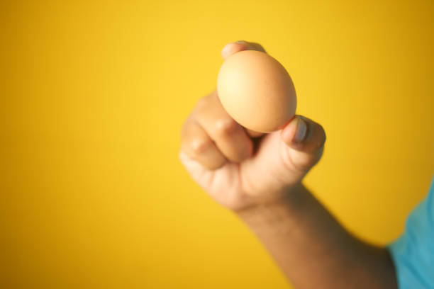 istock A Hand Softly Holding a Fresh Egg Positioned Against a Bright and Vibrant Yellow Background Color 2195135890