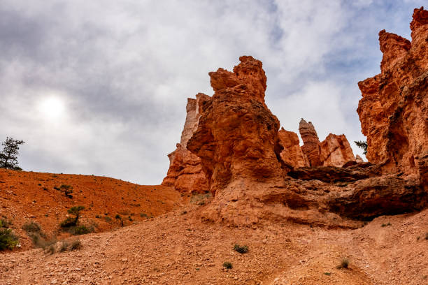 Bryce Canyon national park, Utah, USA.