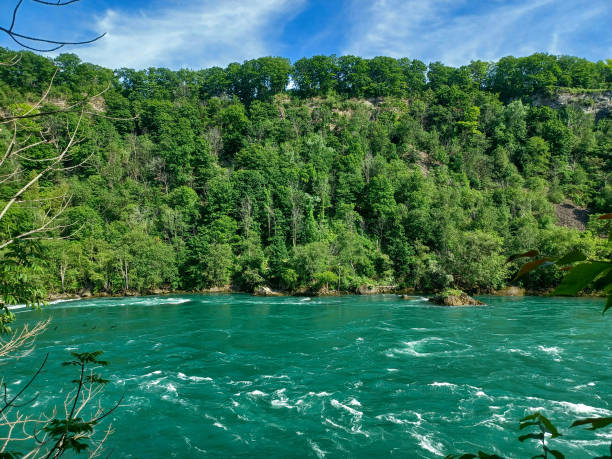 istock Niagara river view from the Glen trail 2195144210