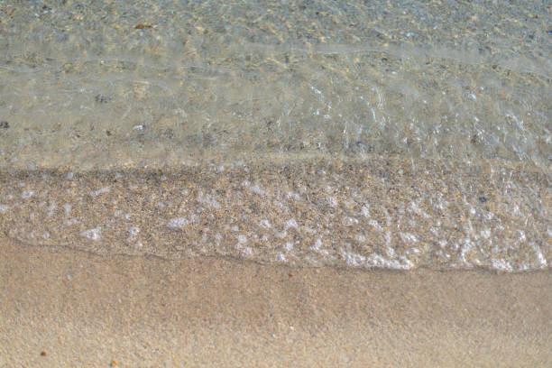 light foam of a sea wave on a sandy shore, top view