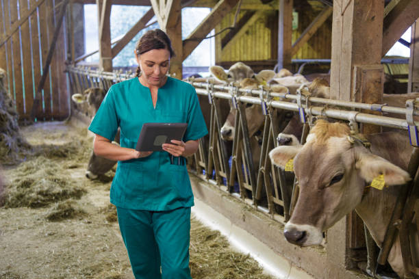 istock Female veterinarian with note pad in barn 2195153574