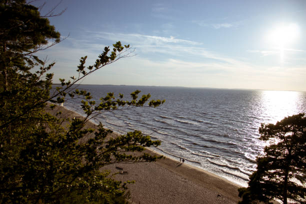 istock Miedzyzdroje beach from a viewpoint 2195154084