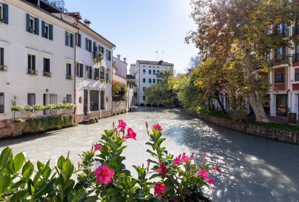 istock Treviso - The old town with the canal. 2195154196