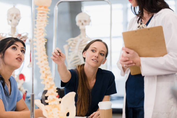 istock Medical Students Studying Human Anatomy Together 2195157626