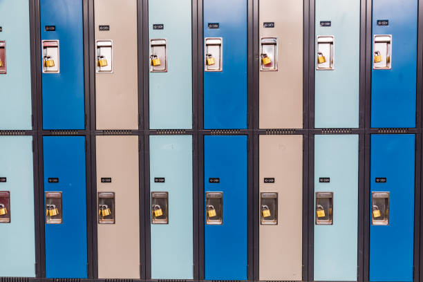 A line of lockers in a variety of pastel and strong colors, each secured with a padlock, representing security and organization in communal or institutional settings like schools or gyms.