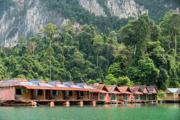 istock huts on the water in Khao Sok 2195160592