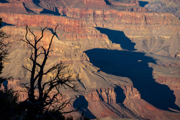 South Rim of the Grand Canyon in Springtime