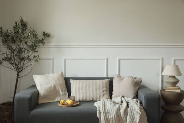 istock Modern living room interior design. Mediterranean or scandinavian style. Grey sofa, beige pillows. Glass, carafe of water, fresh lemon fruit. Side table with lamp and olive tree. Empty beige wall mockup. 2195168521