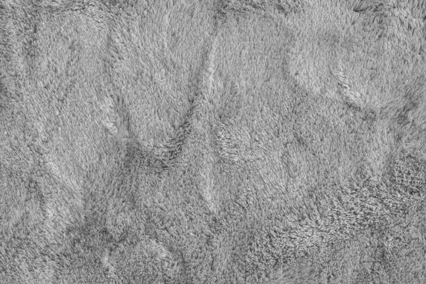 Soft fluffy gray carpet texture, synthetic textile fur, plush background