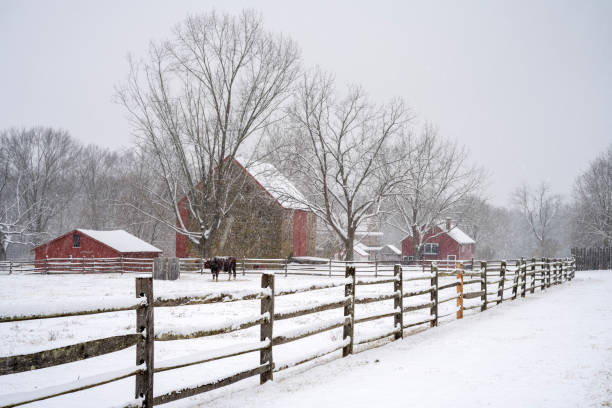 Farm in Winter snowstorm, Worcester, Pennsylvania, USA