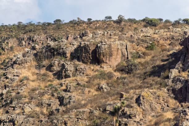 Rocky cliffs rise sharply in a dry landscape featuring patches of grass and sparse vegetation. The terrain is rugged and uneven, composed of large stones and boulders. Distant shrubbery clings to elevated sections, indicating a struggle for survival in this arid setting.