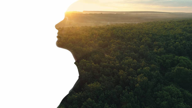 Nature silhouette freedom harmony sunset woman