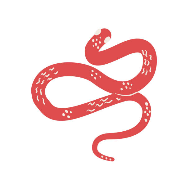 istock Snake Chinese New Years symbol. Cny zodiac snake lunar 2025 isolated on white background. Vector hand drawn flat illustration 2195176074