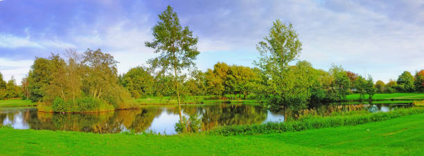 A tranquil image capturing a verdant park with a calm lake reflecting the surrounding trees and clear sky, evoking a sense of peace, natural beauty, and connection to the outdoors.