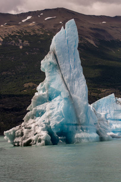 istock Adrift Iceberg in Patagonia 2195178518