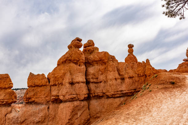 Bryce Canyon national park, Utah, USA.