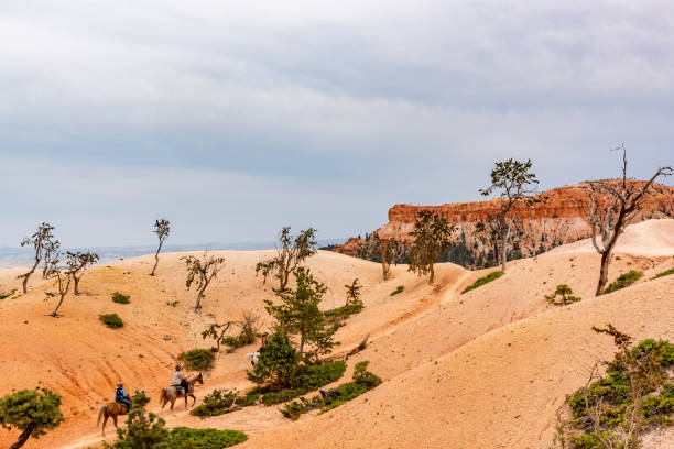 Bryce Canyon national park, Utah, USA.