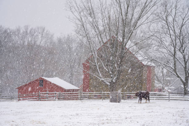 Old Weathered Barn in the snow-Howard County, lndiana