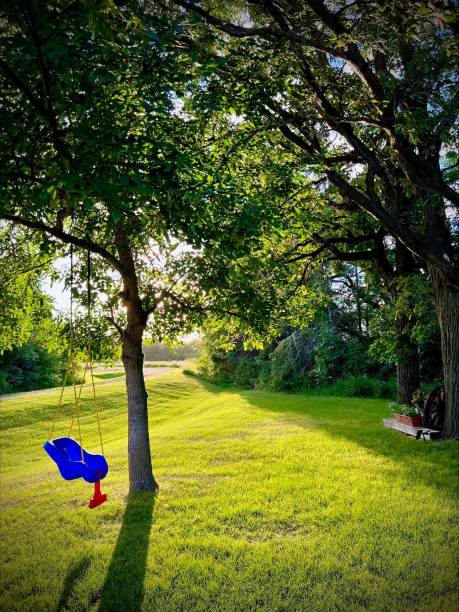 istock Child’s swing in the sun 2195187984