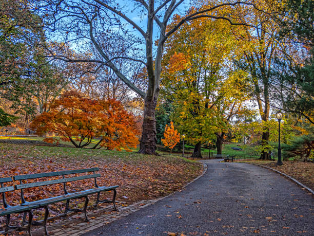 istock Autumn in Central Park, early morning 2195188768