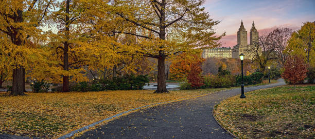 istock Autumn in Central Park, early morning 2195188806
