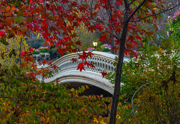 istock Bow bridge in late autumn 2195188992