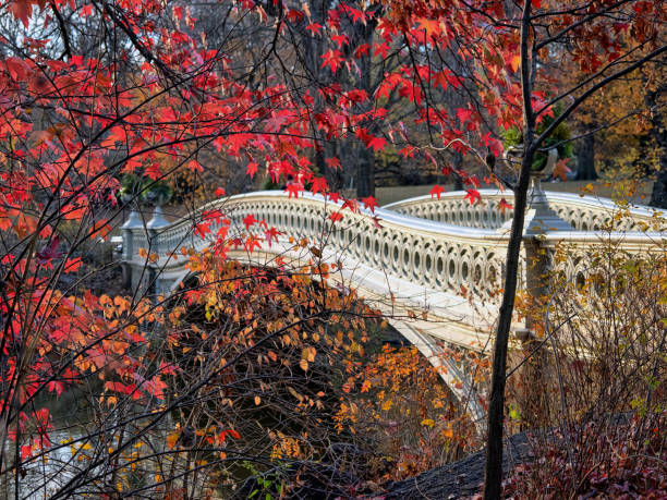 istock Bow bridge in late autumn 2195189423