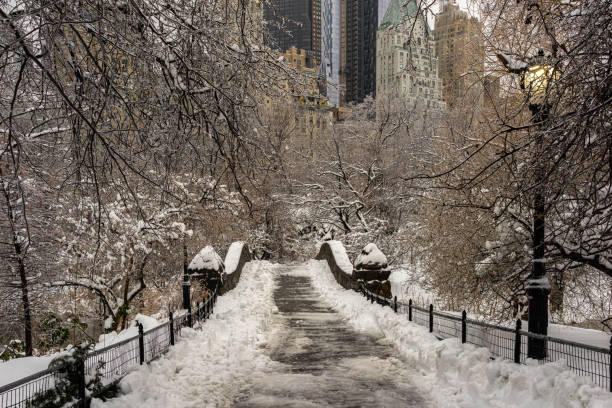 istock Gapstow Bridge in Central Park, after snow storm 2195189524