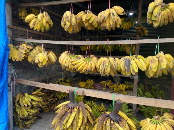 istock Bunches of bananas sold by local vendor 2195190877