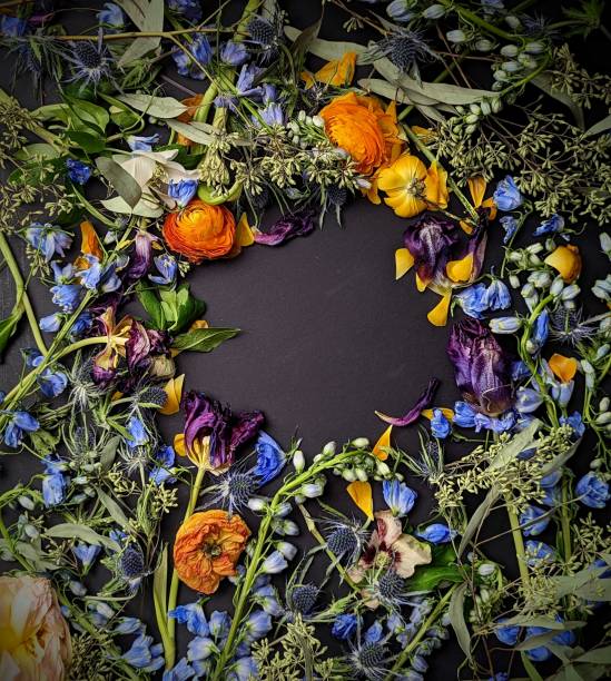 istock flowers on black background with center cutout 2195192645