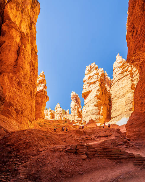 istock Hiking Wall Street 2195193477