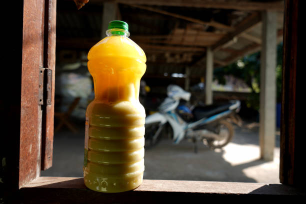 vegetable oil  waxy in winter