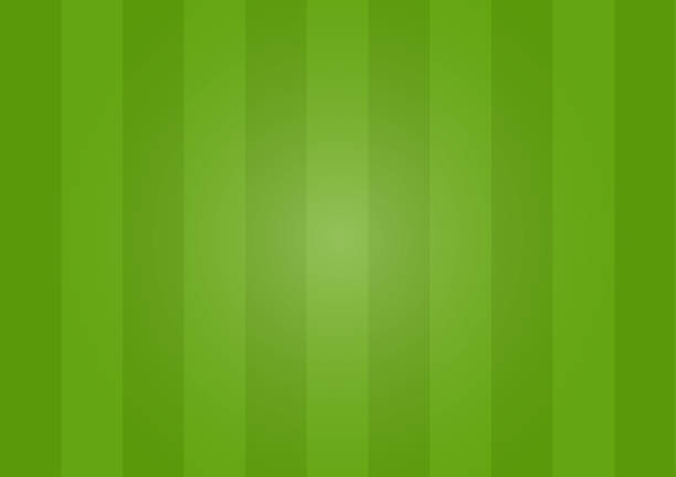 istock Soccer Field or Football Field Texture Background. 2195197570