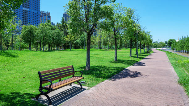 istock Curved footpath through the green city park 2195198734