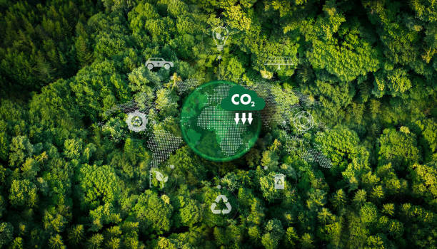 istock representing eco-friendly transport A leafy green plant with a CO2 cloud on top. 2195202185
