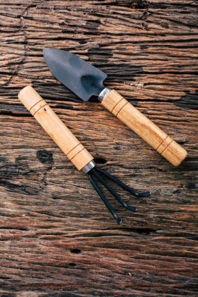 istock Soil tilling equipment on wooden background 2195202576