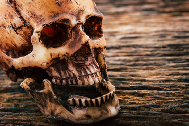 A creepy Halloween skeleton with it's arms outstretched as it look though fire with it's jaw open.