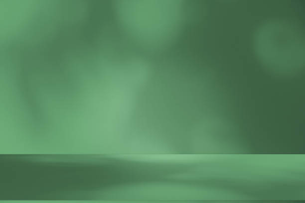 Studio style background wall decoration presentation uses white and green tones. with shadows cast from a nearby window, concept creating a decorative