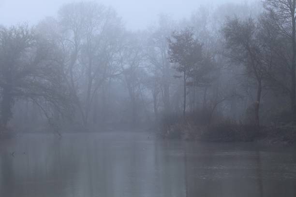 istock River in the morning fog 2195204121