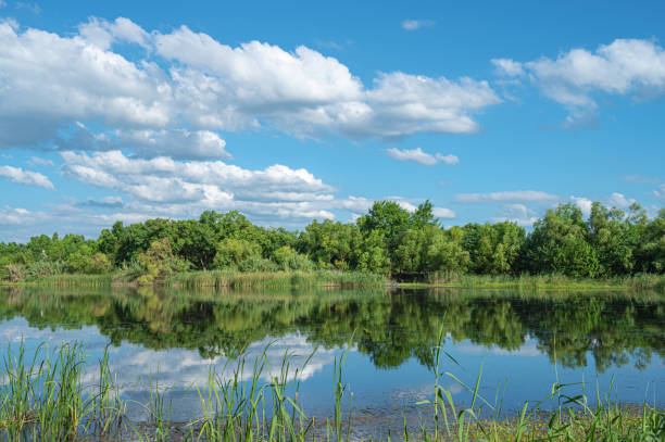 istock Wetland riverbank and sunny blue sky copy space scene 2195205079