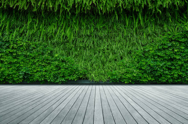 istock Empty boardwalk with beautiful wall made of green branches 2195205475
