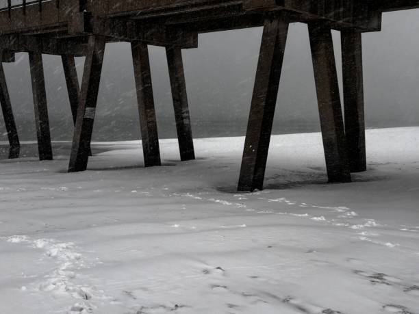 istock Gulf of Mexico has footprints in the snow 2195205591