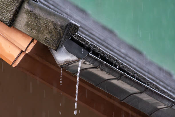 istock Clogged rain gutter, dirty roof gutter, with wet fallen leaves. 2195209455