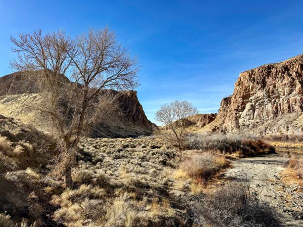 istock Wilson Canyon - December 2195209460