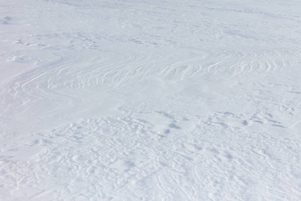 The snow is white and the ground is covered in it. The snow is piled up in some areas and there are some small ripples in the snow. The image has a calm and peaceful mood