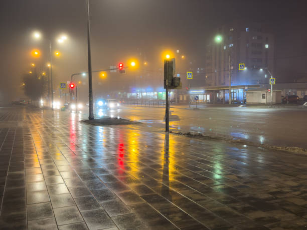 istock A rainy night with a street light shining on the wet pavement 2195210554