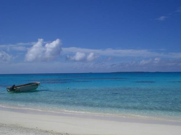 istock Cook Island Beauty 2195211762
