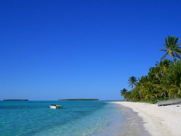 istock Cook Island Beauty 2195211779